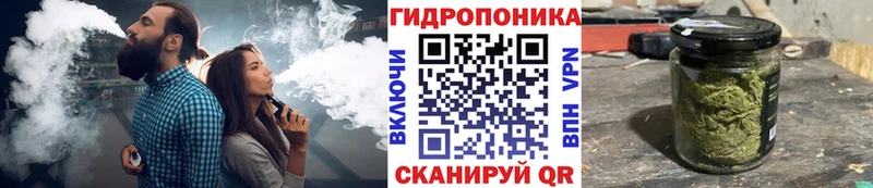 Что такое Приволжск Кокаин  Alpha-PVP  Гашиш  Каннабис  Мефедрон 