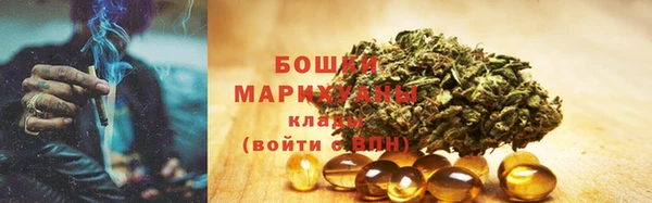 тгк Аркадак