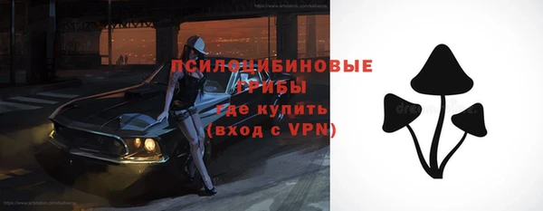 Альфа ПВП Армянск