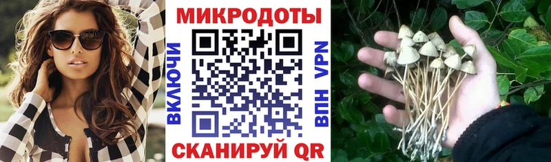 Псилоцибиновые грибы прущие грибы  Приволжск 