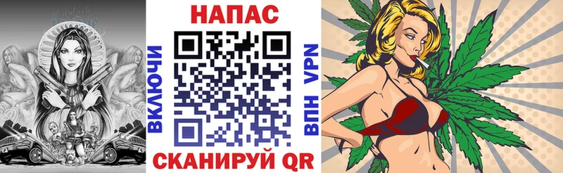 Бошки Шишки планчик Приволжск